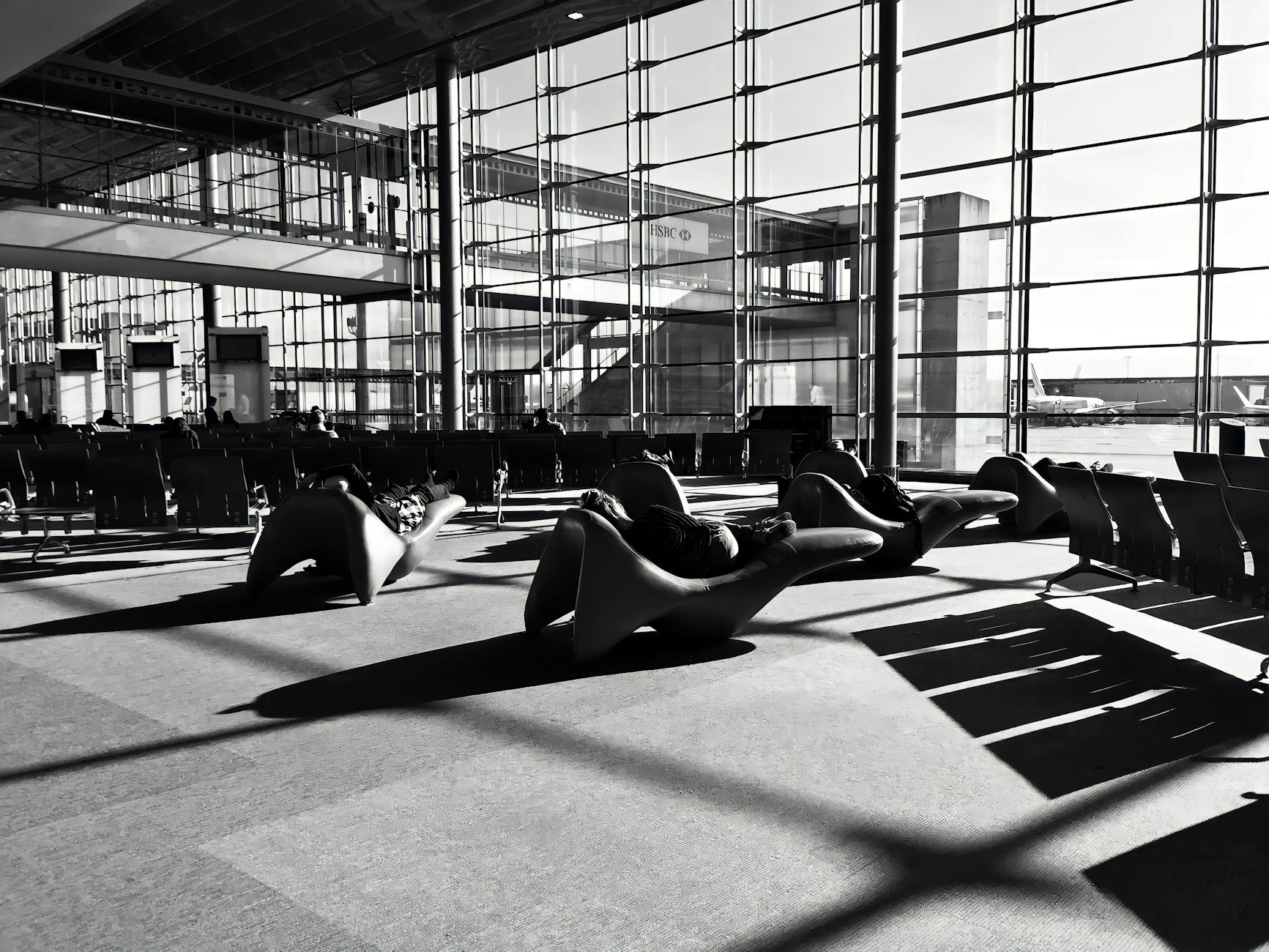 Citronnier caviar en pot sur une terrasse ensoleillée