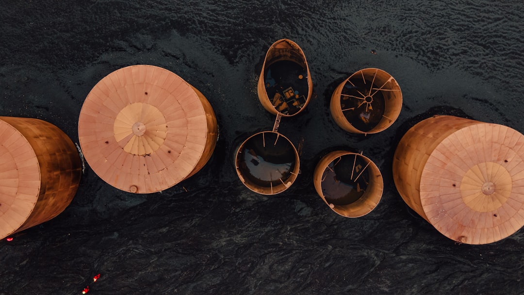 Panier varié contenant différents agrumes de la liste