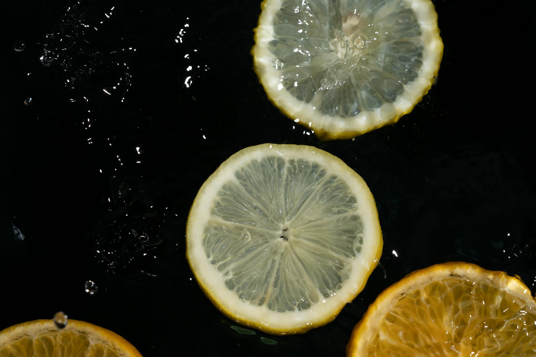 Citronnier 4 saisons avec fruits jaunes