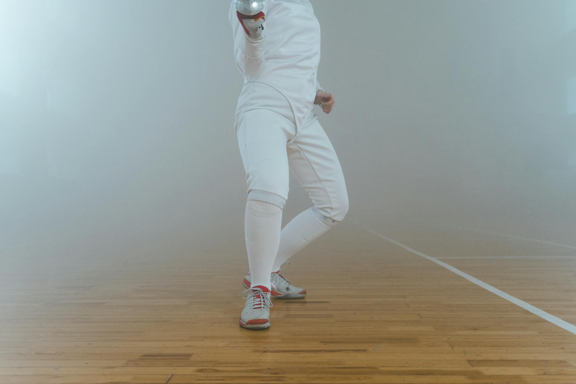 Serre de pépinière d'agrumes avec plants de citronniers
