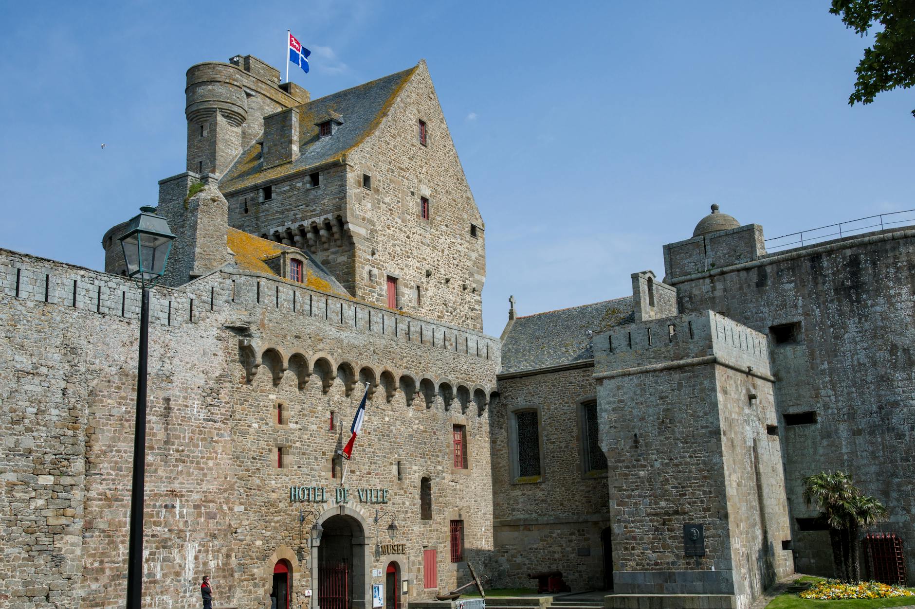 Noix de Saint-Jacques fraîches sur un lit de zestes d'agrumes